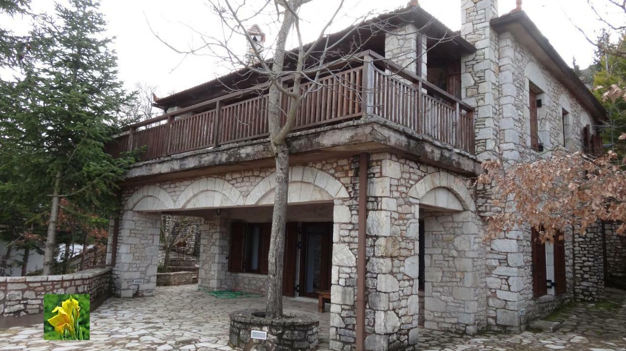 Villa Filia House - Kalavryta à Kleitoria Extérieur photo